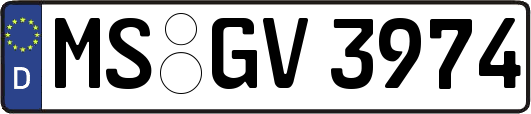 MS-GV3974