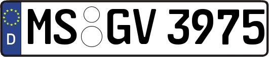 MS-GV3975