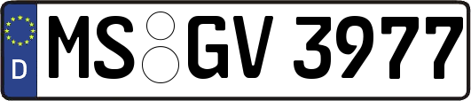 MS-GV3977