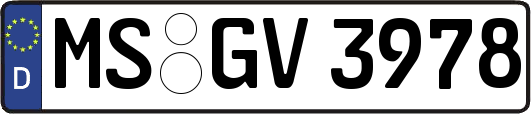 MS-GV3978