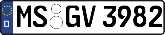 MS-GV3982