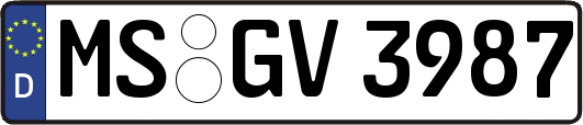 MS-GV3987