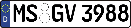 MS-GV3988