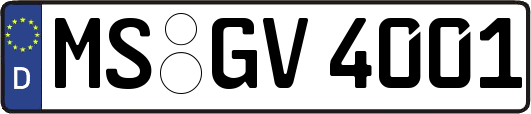 MS-GV4001