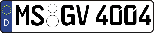 MS-GV4004