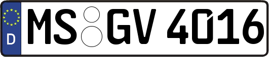 MS-GV4016