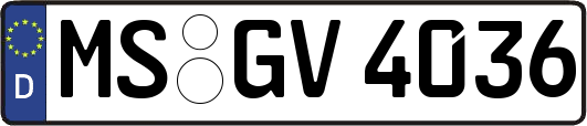 MS-GV4036