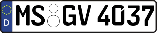 MS-GV4037