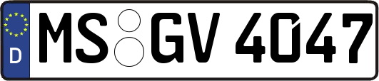 MS-GV4047