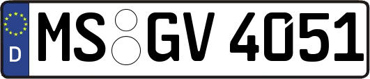 MS-GV4051