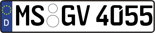 MS-GV4055