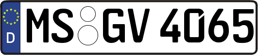 MS-GV4065