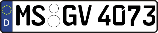 MS-GV4073