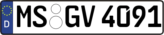 MS-GV4091