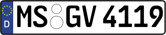 MS-GV4119