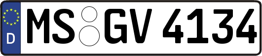 MS-GV4134