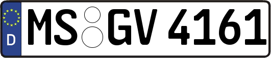 MS-GV4161