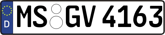 MS-GV4163