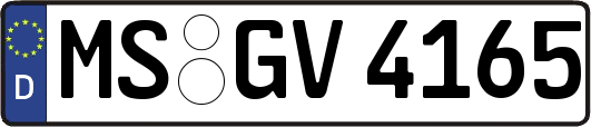 MS-GV4165