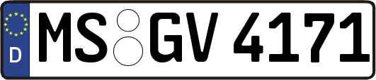 MS-GV4171