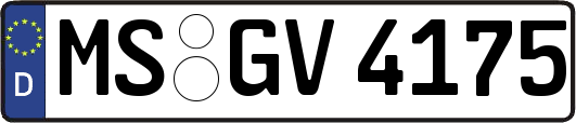 MS-GV4175