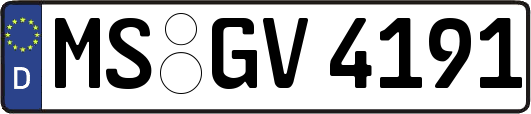 MS-GV4191