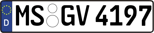 MS-GV4197