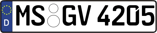 MS-GV4205