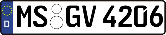MS-GV4206