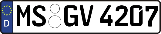MS-GV4207
