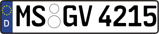 MS-GV4215
