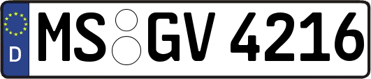 MS-GV4216