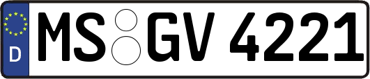 MS-GV4221