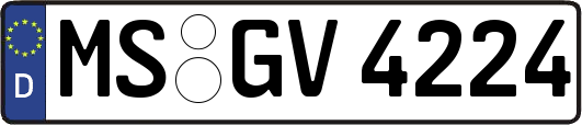 MS-GV4224