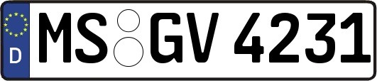 MS-GV4231