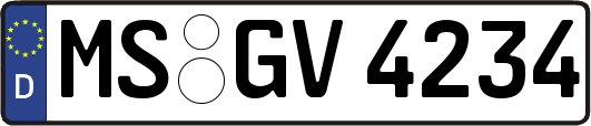 MS-GV4234