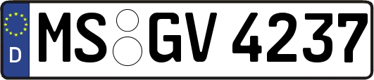 MS-GV4237