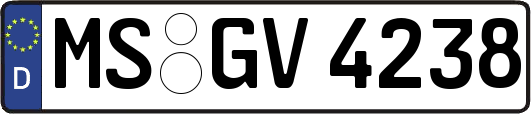 MS-GV4238