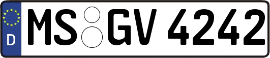 MS-GV4242