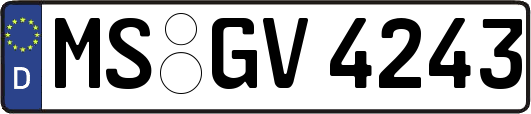 MS-GV4243