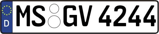 MS-GV4244