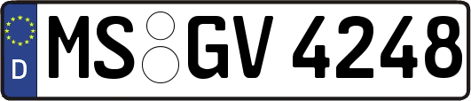 MS-GV4248