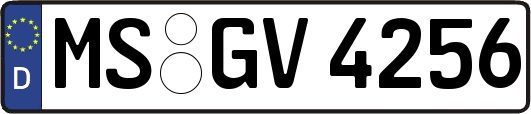 MS-GV4256