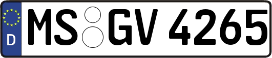 MS-GV4265