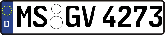 MS-GV4273