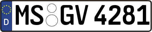 MS-GV4281