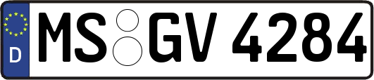 MS-GV4284