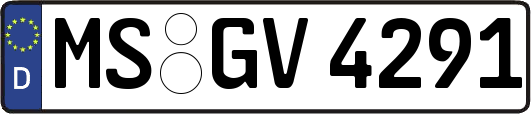 MS-GV4291