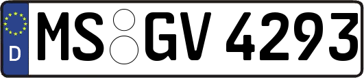 MS-GV4293
