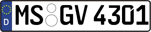 MS-GV4301